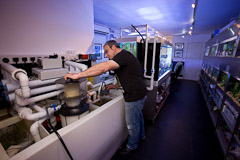 Working on our aquarium installation