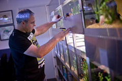 Checking the health of the aquarium