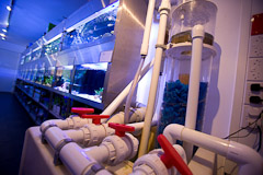 The all-important filtration system.